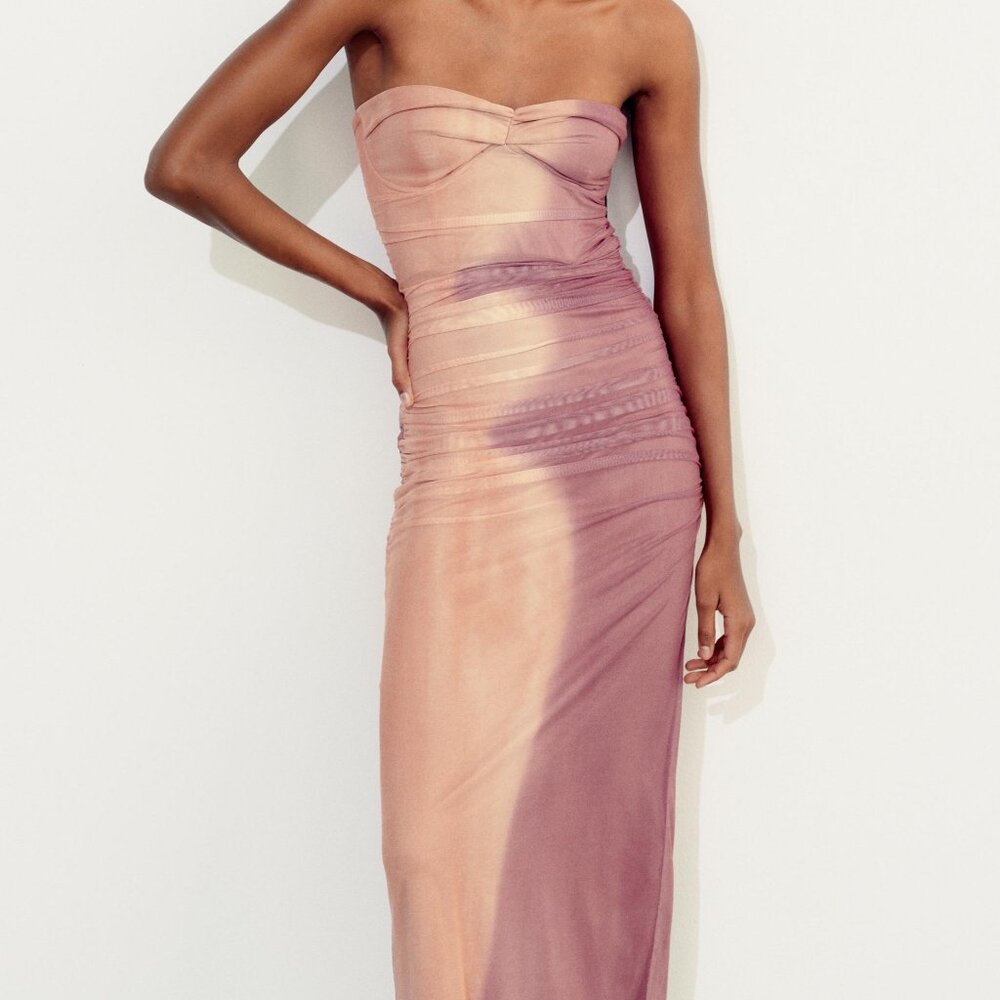 Zara printed tulle dress